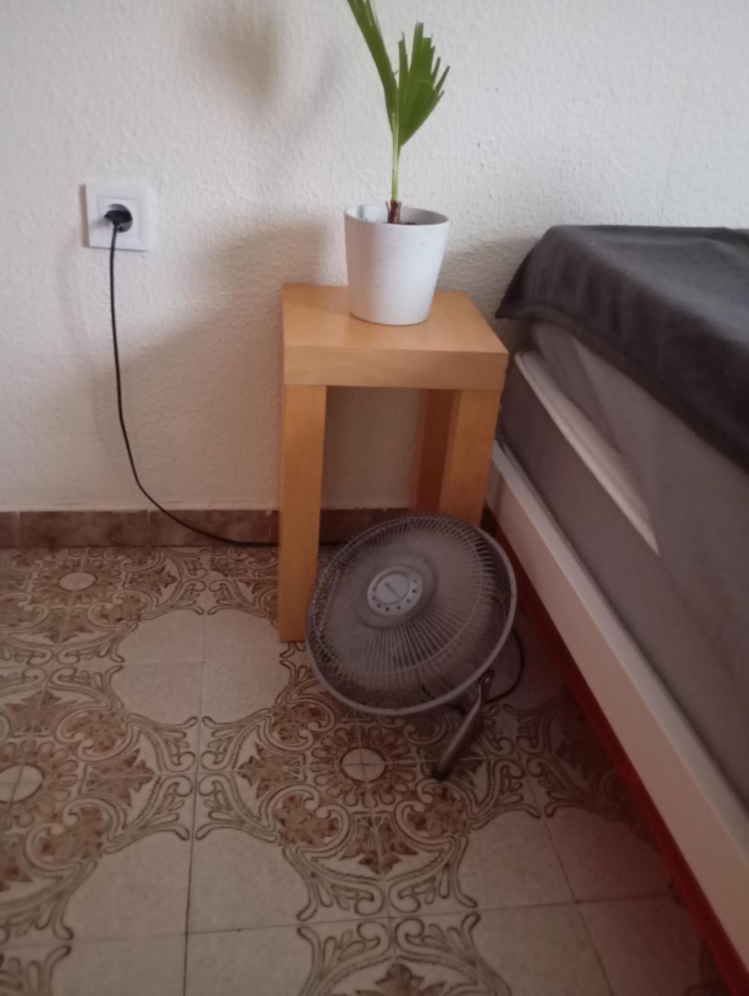 Grosses Modernes Zimmer "Silber" Fuer 2 Personen Und Katzenliebhaber Βαλένθια Εξωτερικό φωτογραφία