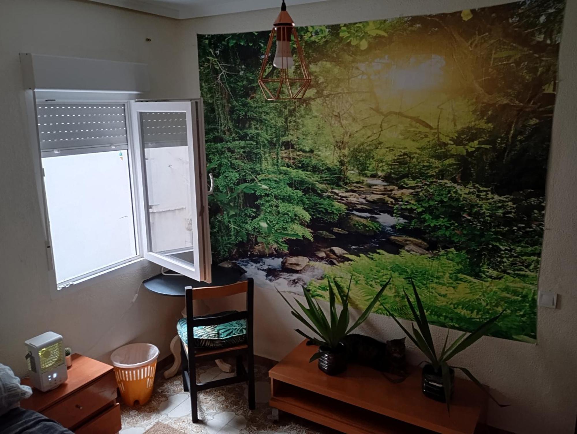 Grosses Modernes Zimmer "Silber" Fuer 2 Personen Und Katzenliebhaber Βαλένθια Εξωτερικό φωτογραφία