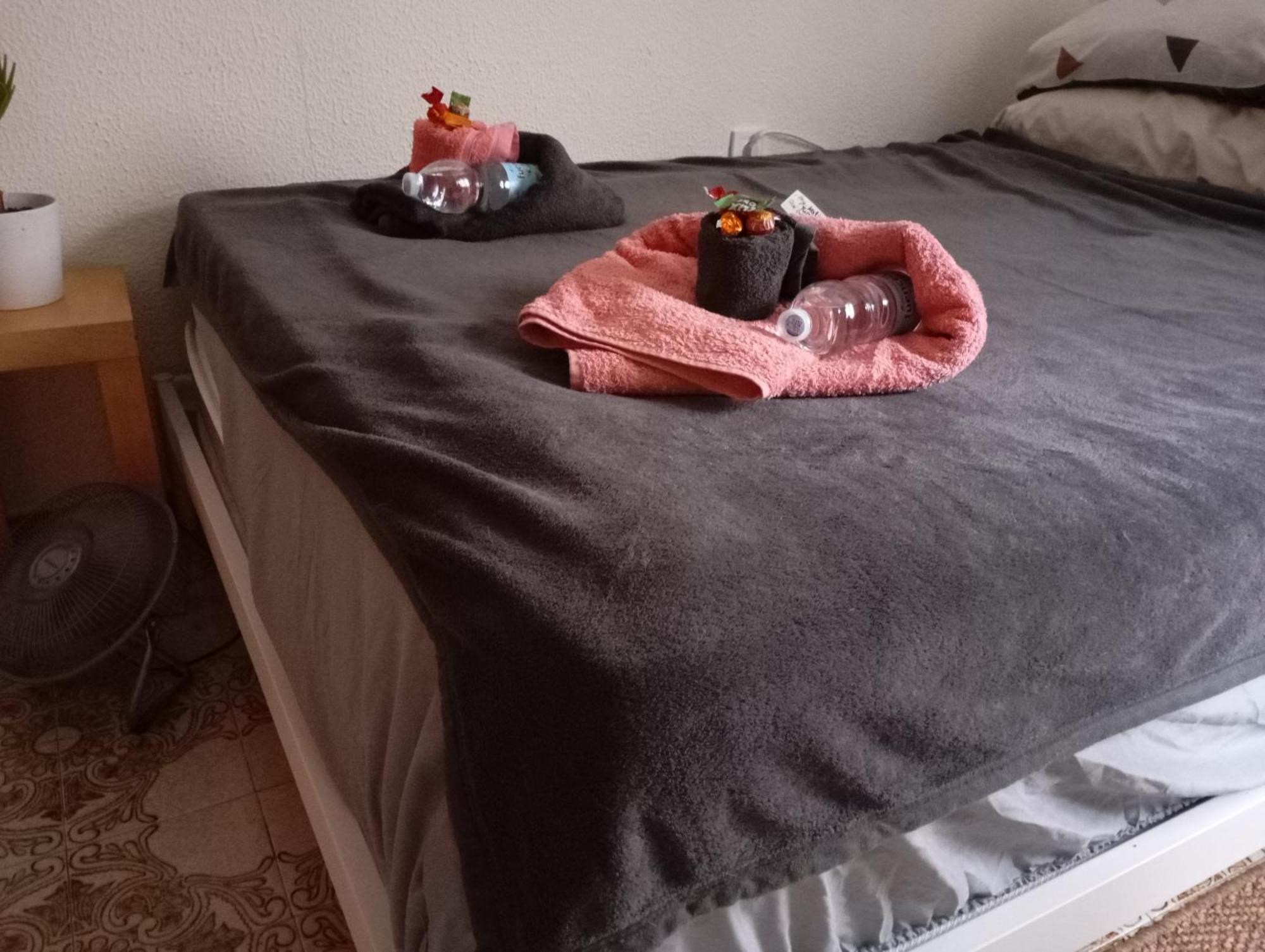 Grosses Modernes Zimmer "Silber" Fuer 2 Personen Und Katzenliebhaber Βαλένθια Εξωτερικό φωτογραφία