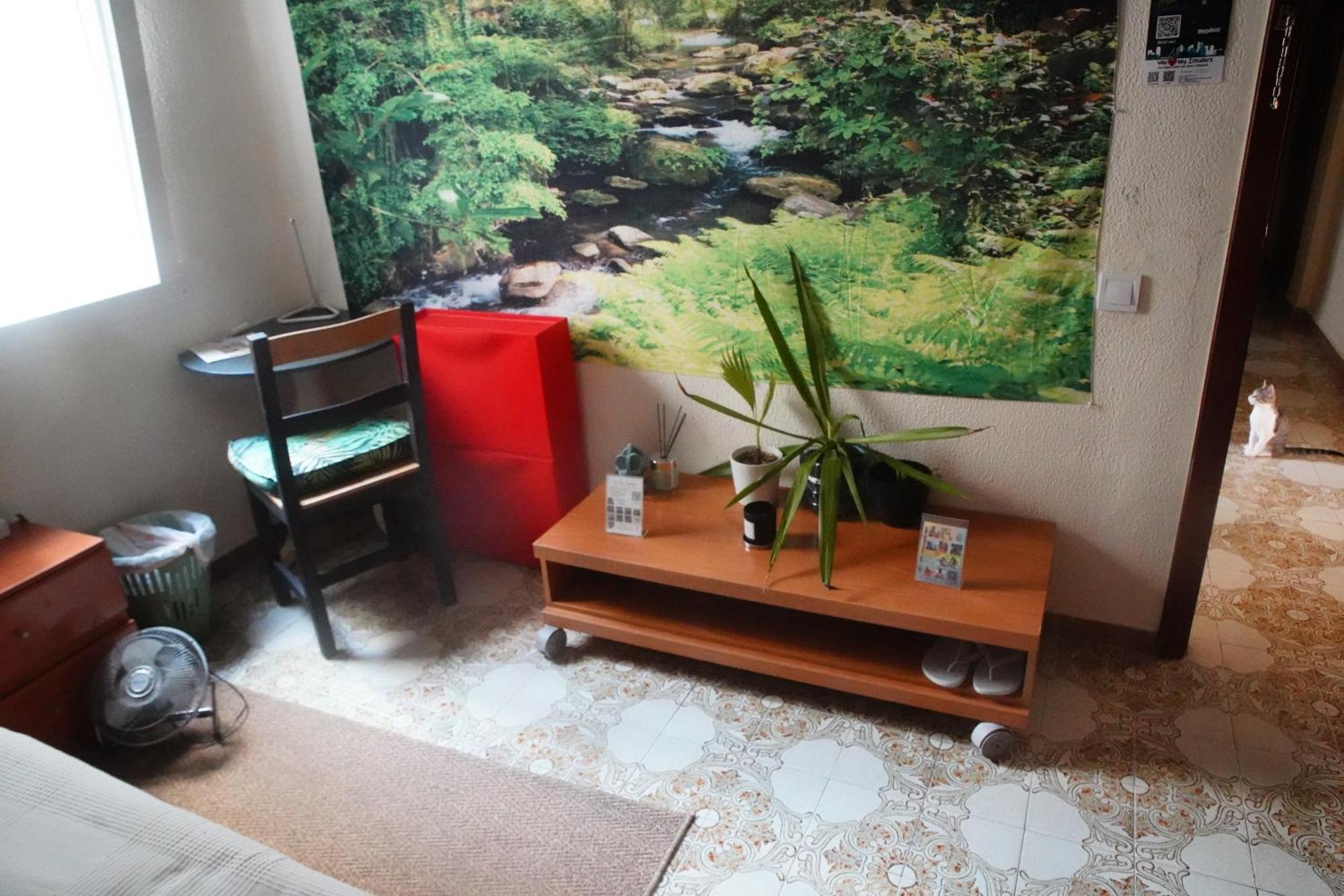 Grosses Modernes Zimmer "Silber" Fuer 2 Personen Und Katzenliebhaber Βαλένθια Εξωτερικό φωτογραφία